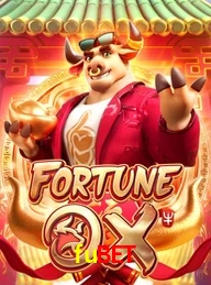 FUBET.COM